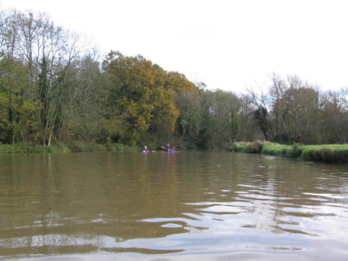 River Medway 2nd November 2008 021