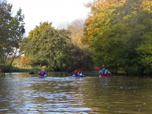 River Medway 2nd November 2008 030